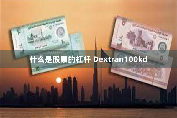 什么是股票的杠杆 Dextran100kd