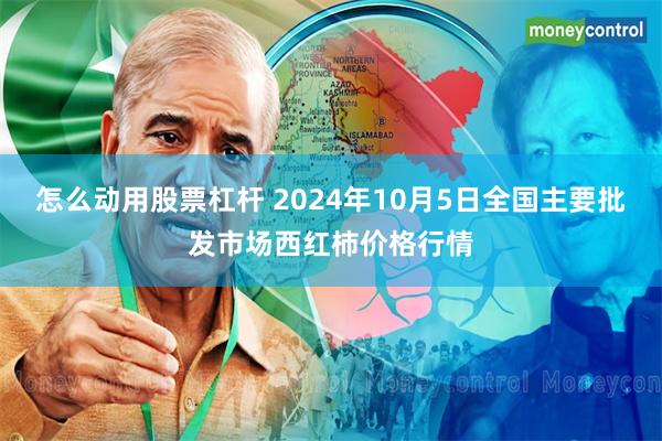 怎么动用股票杠杆 2024年10月5日全国主要批发市场西红柿价格行情