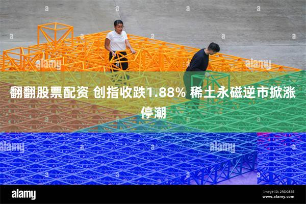 翻翻股票配资 创指收跌1.88% 稀土永磁逆市掀涨停潮