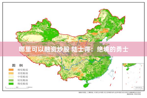 哪里可以融资炒股 陆士谔：绝境的勇士