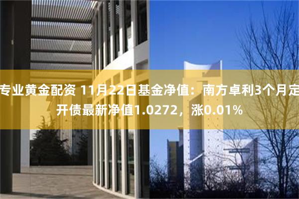 专业黄金配资 11月22日基金净值：南方卓利3个月定开债最新净值1.0272，涨0.01%