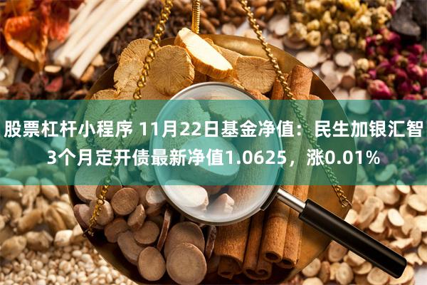 股票杠杆小程序 11月22日基金净值：民生加银汇智3个月定开债最新净值1.0625，涨0.01%