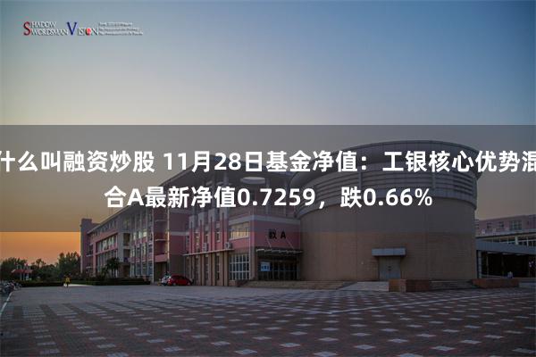 什么叫融资炒股 11月28日基金净值：工银核心优势混合A最新净值0.7259，跌0.66%