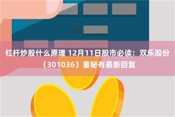 杠杆炒股什么原理 12月11日股市必读：双乐股份（301036）董秘有最新回复