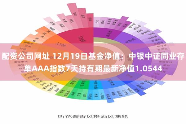 配资公司网址 12月19日基金净值：中银中证同业存单AAA指数7天持有期最新净值1.0544